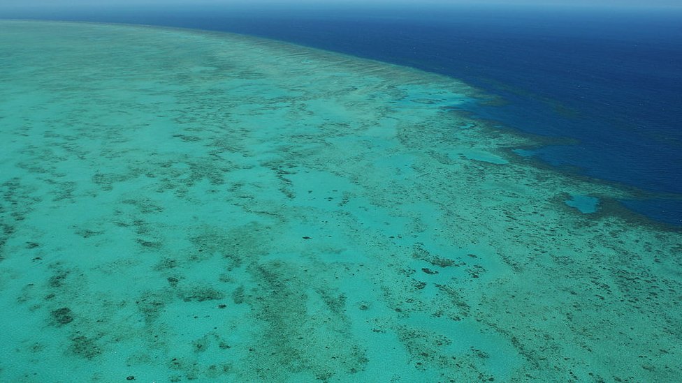 Вид с воздуха на Большой Барьерный риф