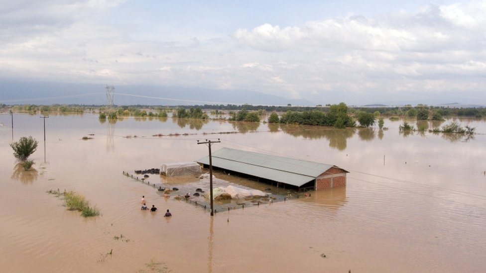 Sheep breeders reach a flooded farm to save their animals, following a storm near the village of Megala Kalyvia, in central Greece, September 19, 2020