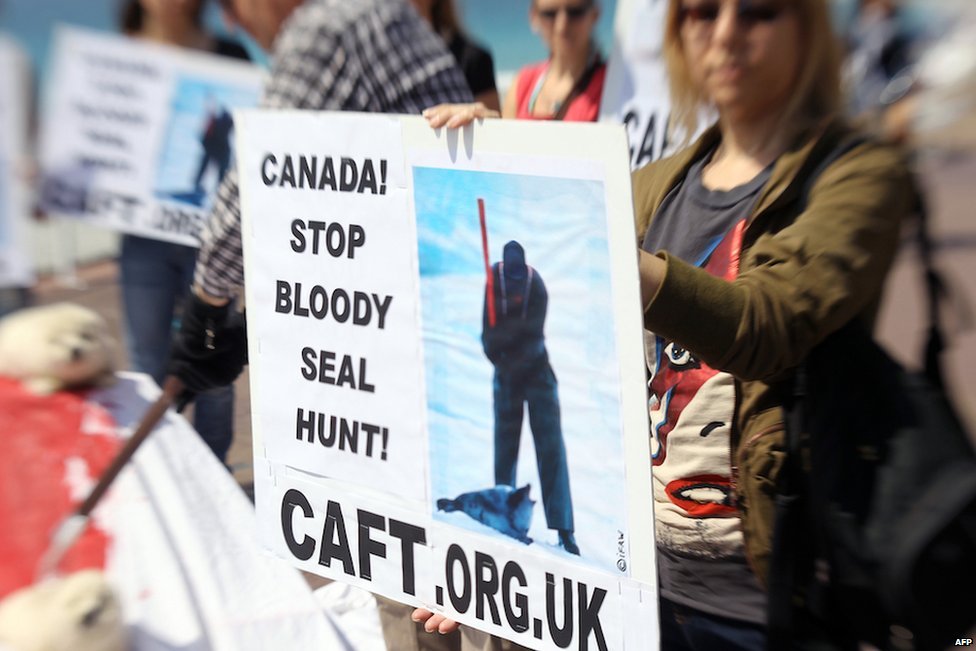 Protest against Canada's seal hunt