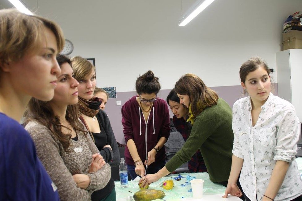 Taller con papayas.