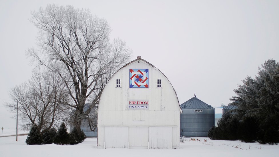Вывеска на стене сарая гласит: «Свобода. Голосуйте за это» в Коле, штат Айова, США, 28 января 2020 г.
