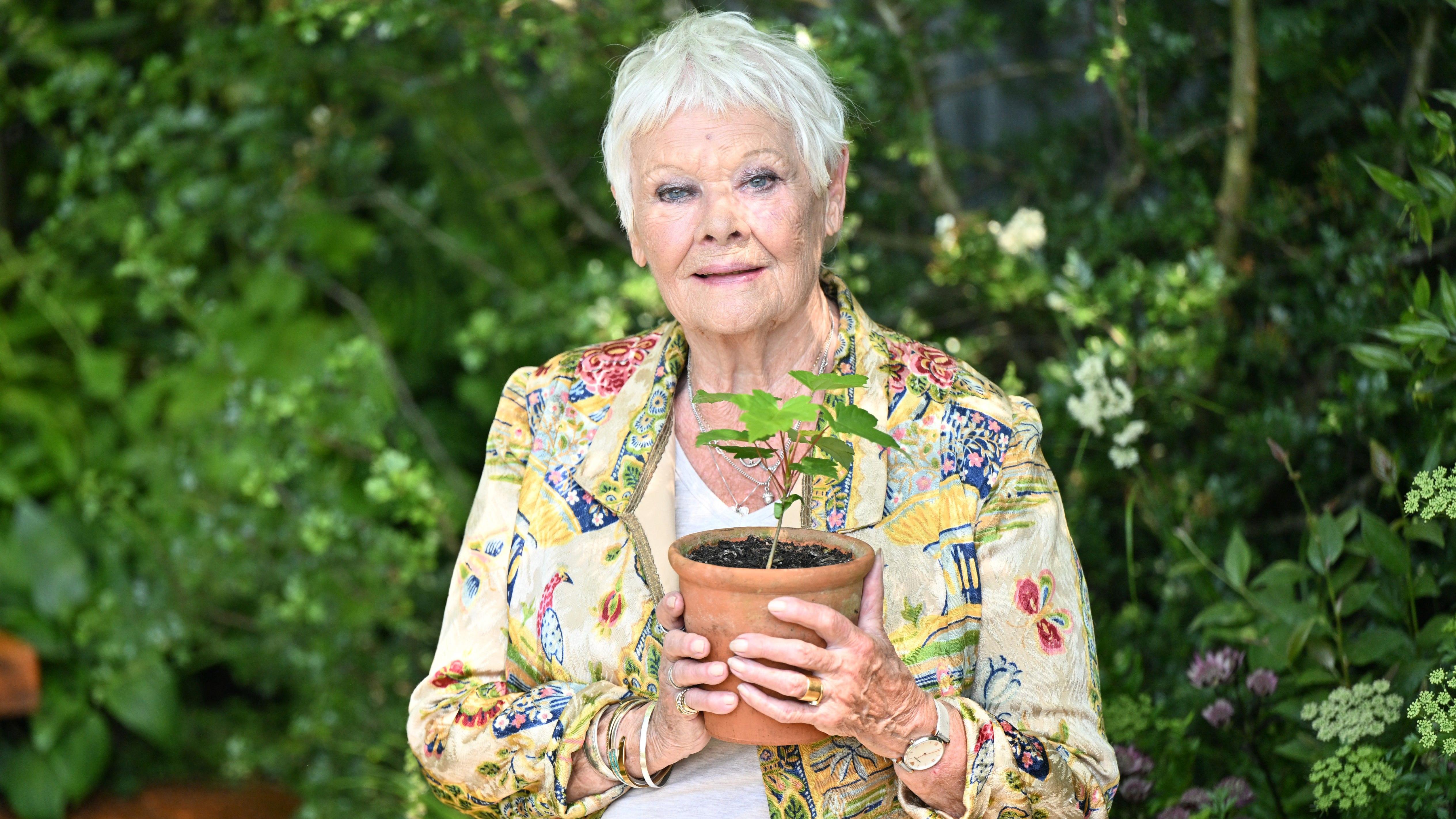 Dame Judi Dench celebrates her 90th birthday