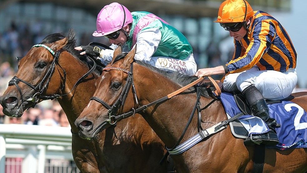 Lead Artist beats Dancing Gemini at Newbury to win Lockinge Stakes