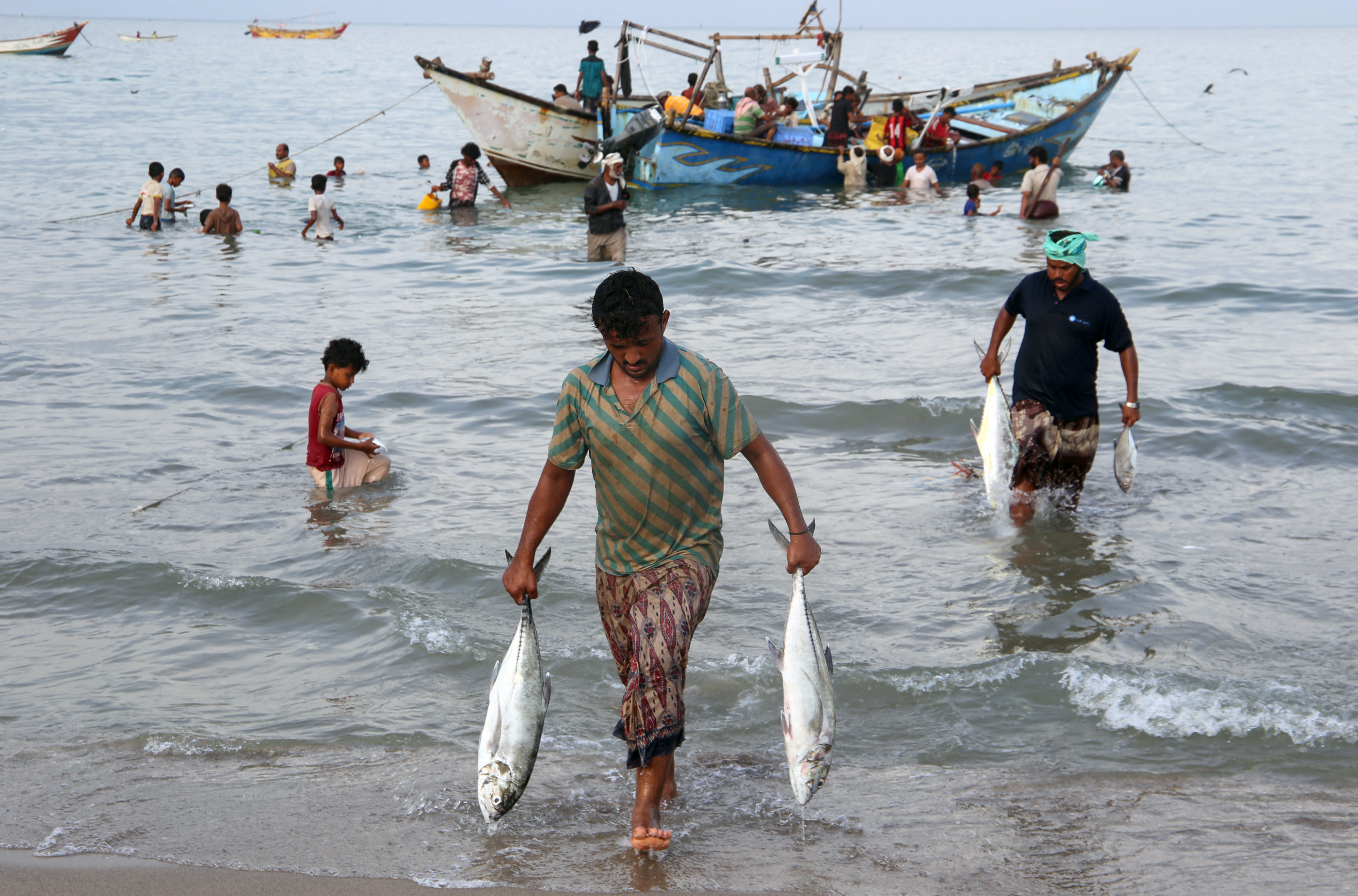 A Yemeni fisherman brings ashore fish in Khokha district, Hudaydah province, Yemen (May 2022)