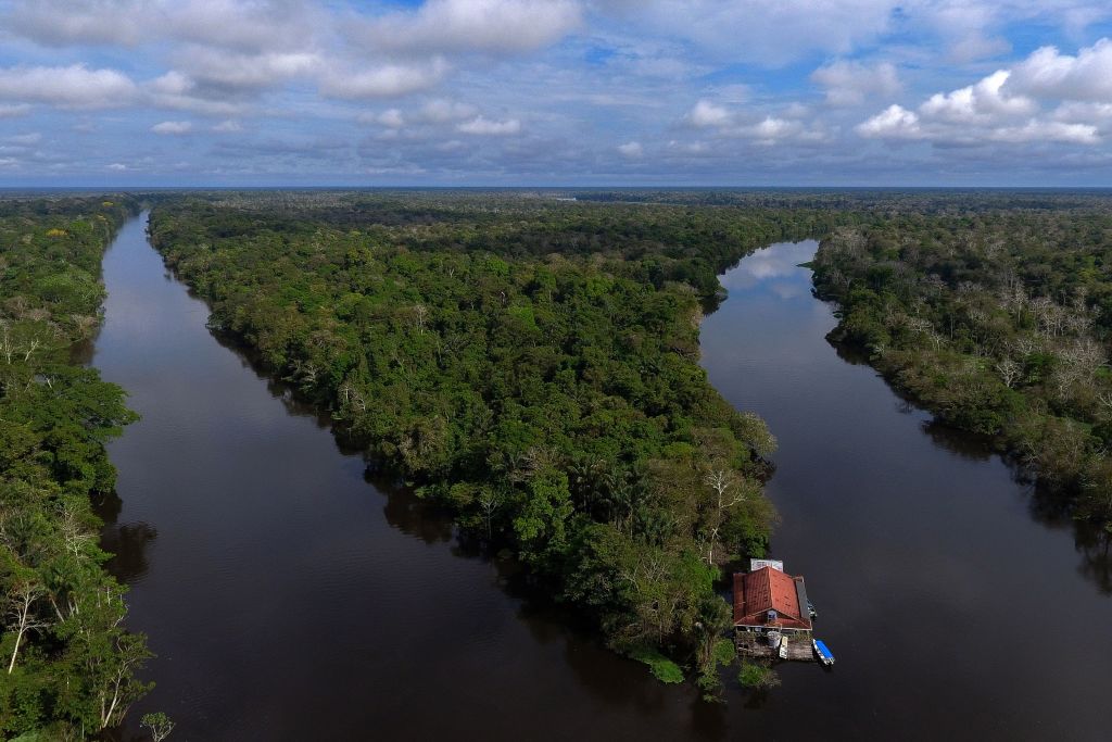 Amazonas