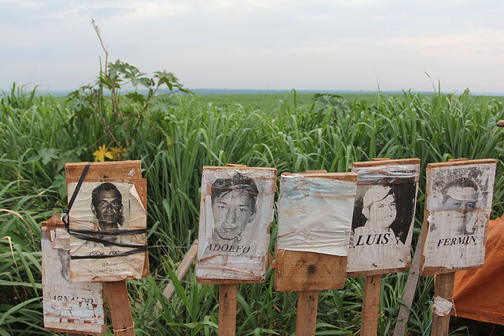 Fotos de activistas asesinados en un campo