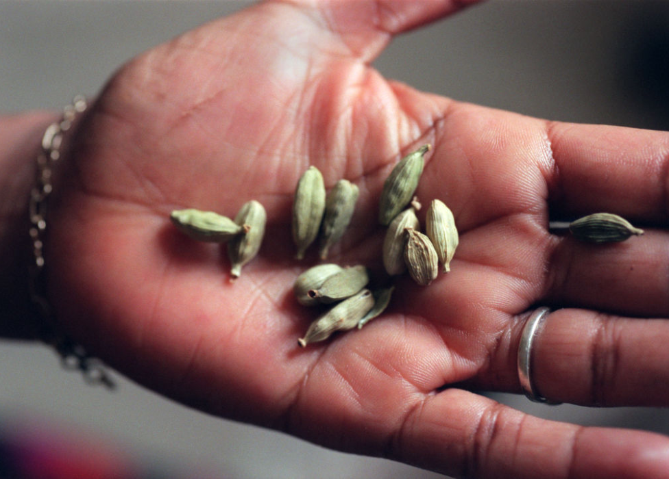 A Somali cook holding cardamom seeds