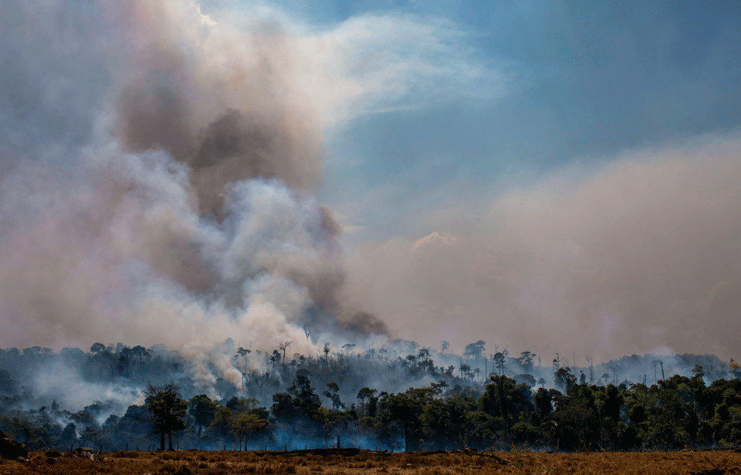 Fumaça entre árvores na Amazônia