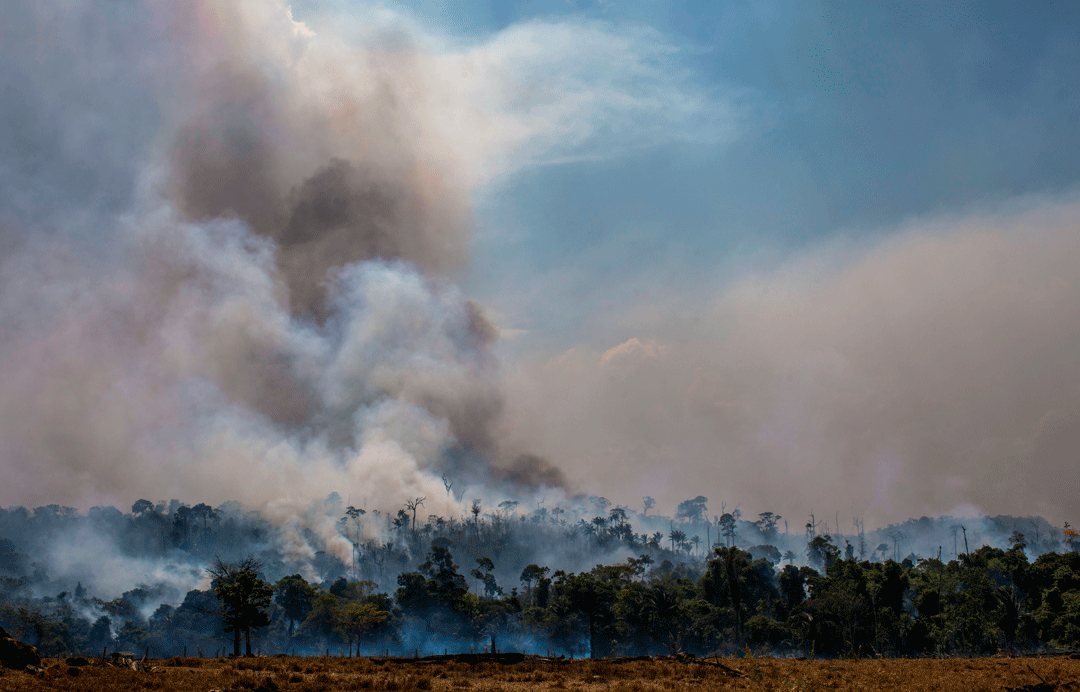 Wildfires Reached a Five-Year High in the Brazilian , Smart News