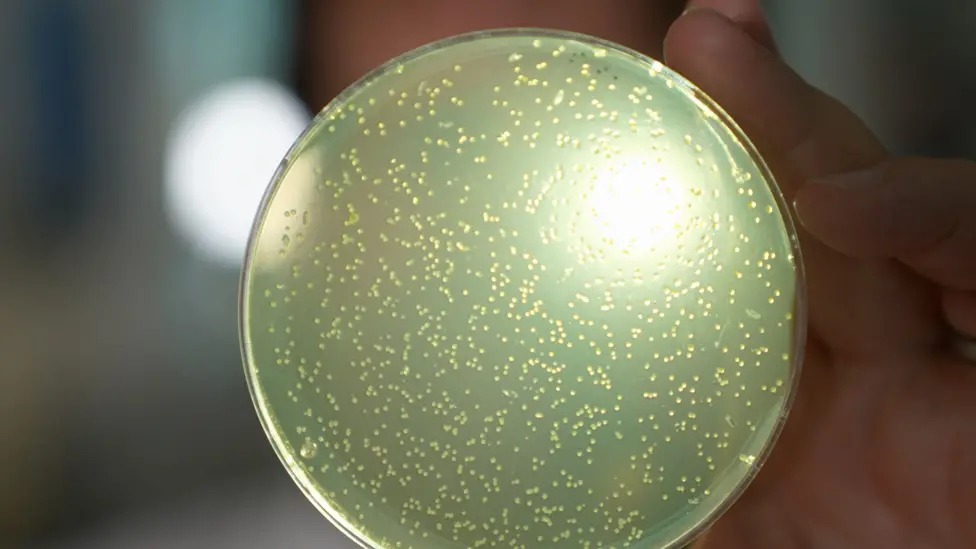 Илмий тадқиқот