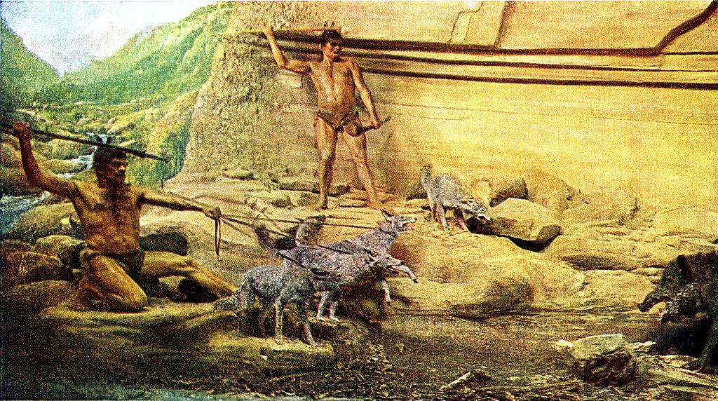 Los humanos estamos dentro de las especies más violentas hacia sus hembras"  - BBC News Mundo