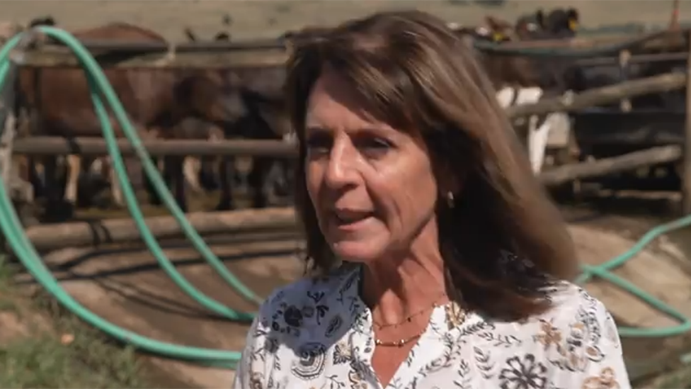 A head and shoulders image of Carol Houstin. 