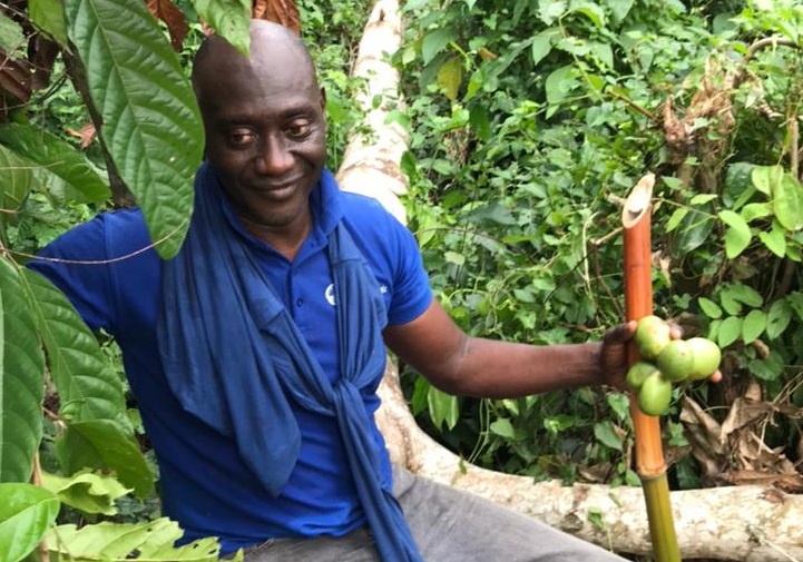 Nana Aduna II in his plantation