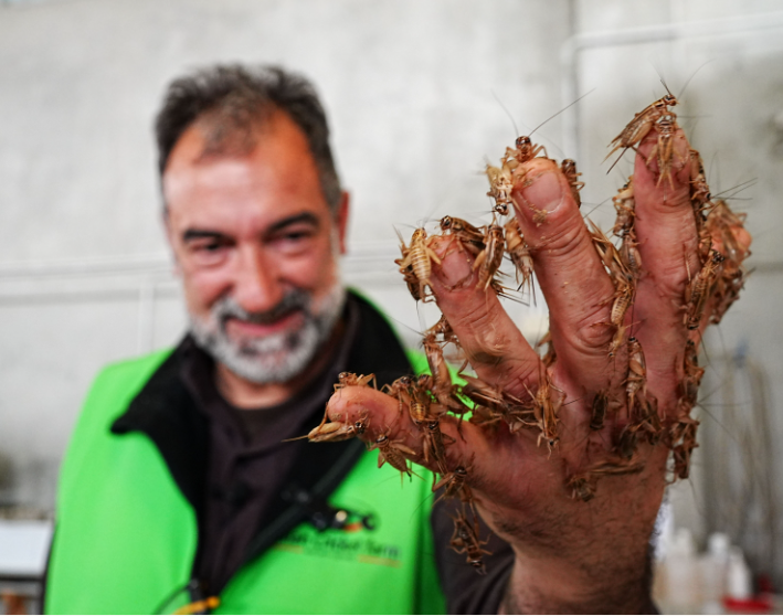 Ivan Albano, who runs the Italian Cricket Farm