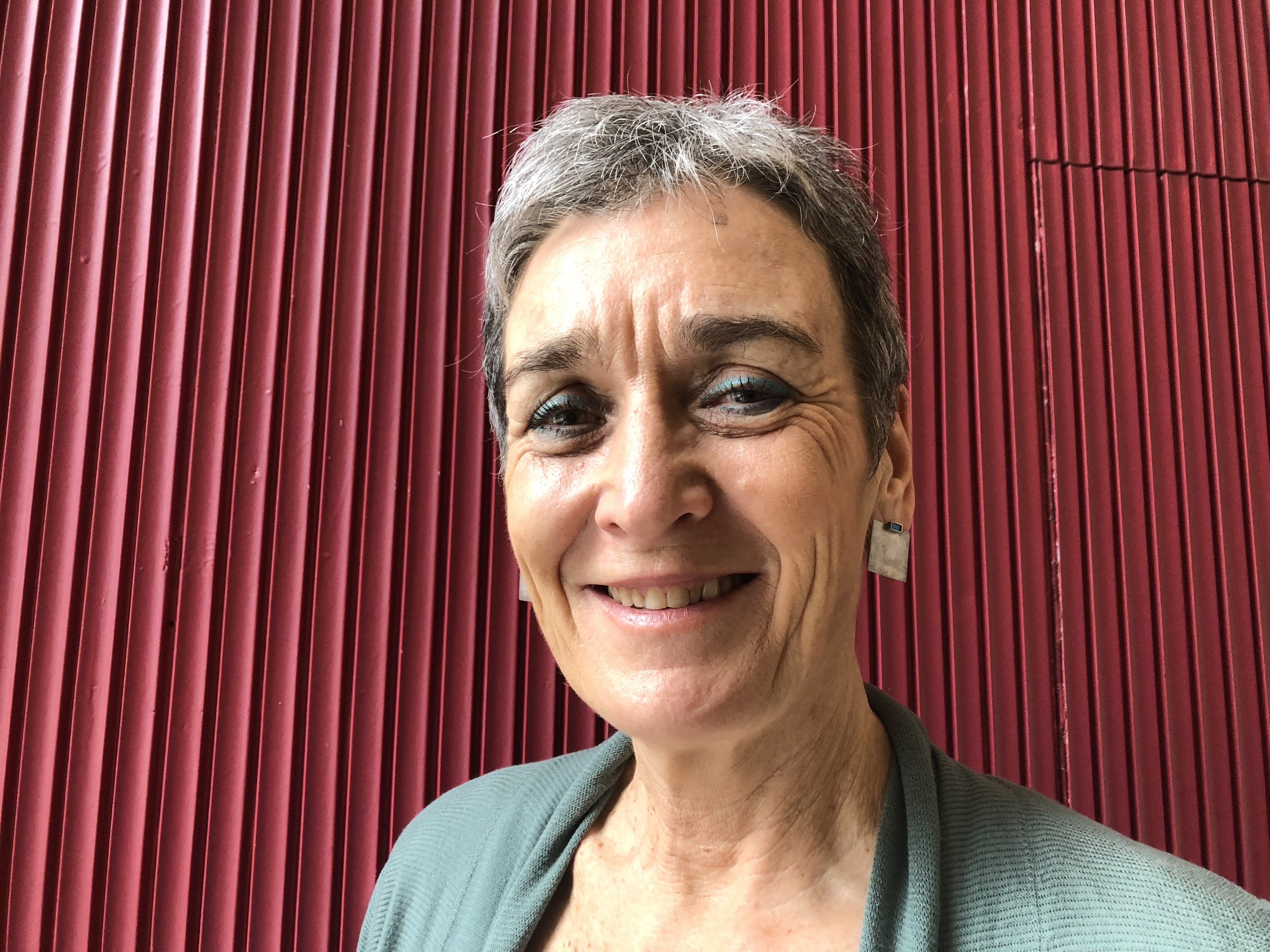 Ulrike Lunacek, Green Party minister in Austria's coalition