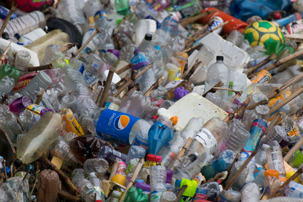 Plastic bottles litter