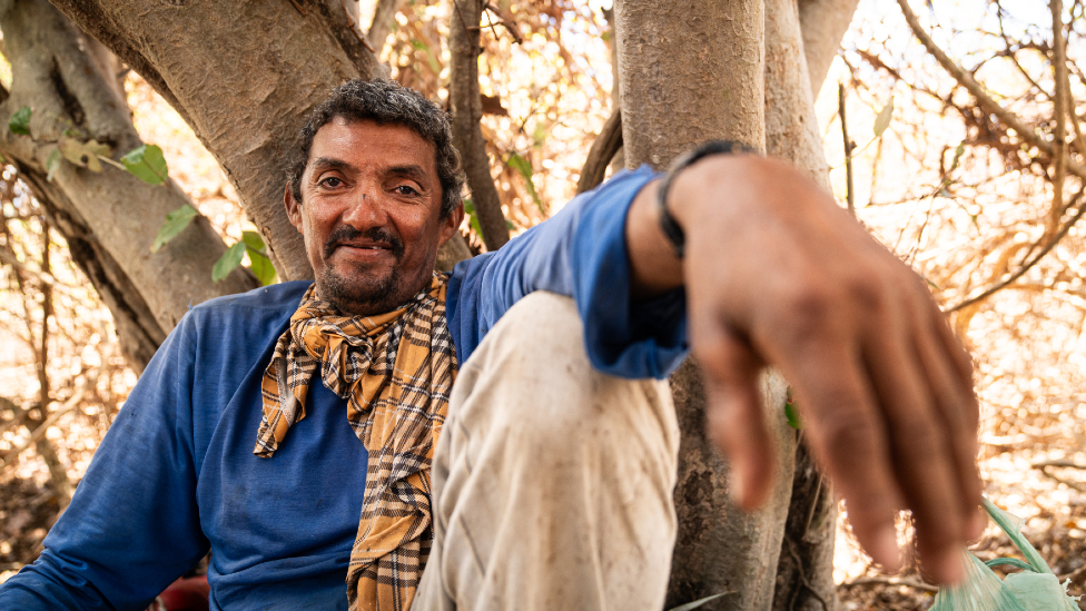 Carnauba worker Irismar Pereira leaning against a tree