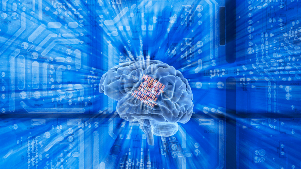 Ilustración de un cerebro