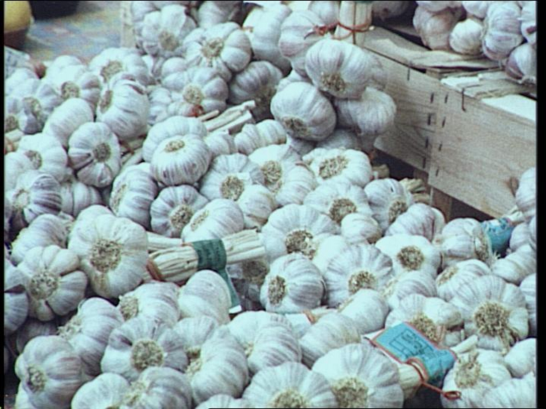 Саримсоқ ҳосили