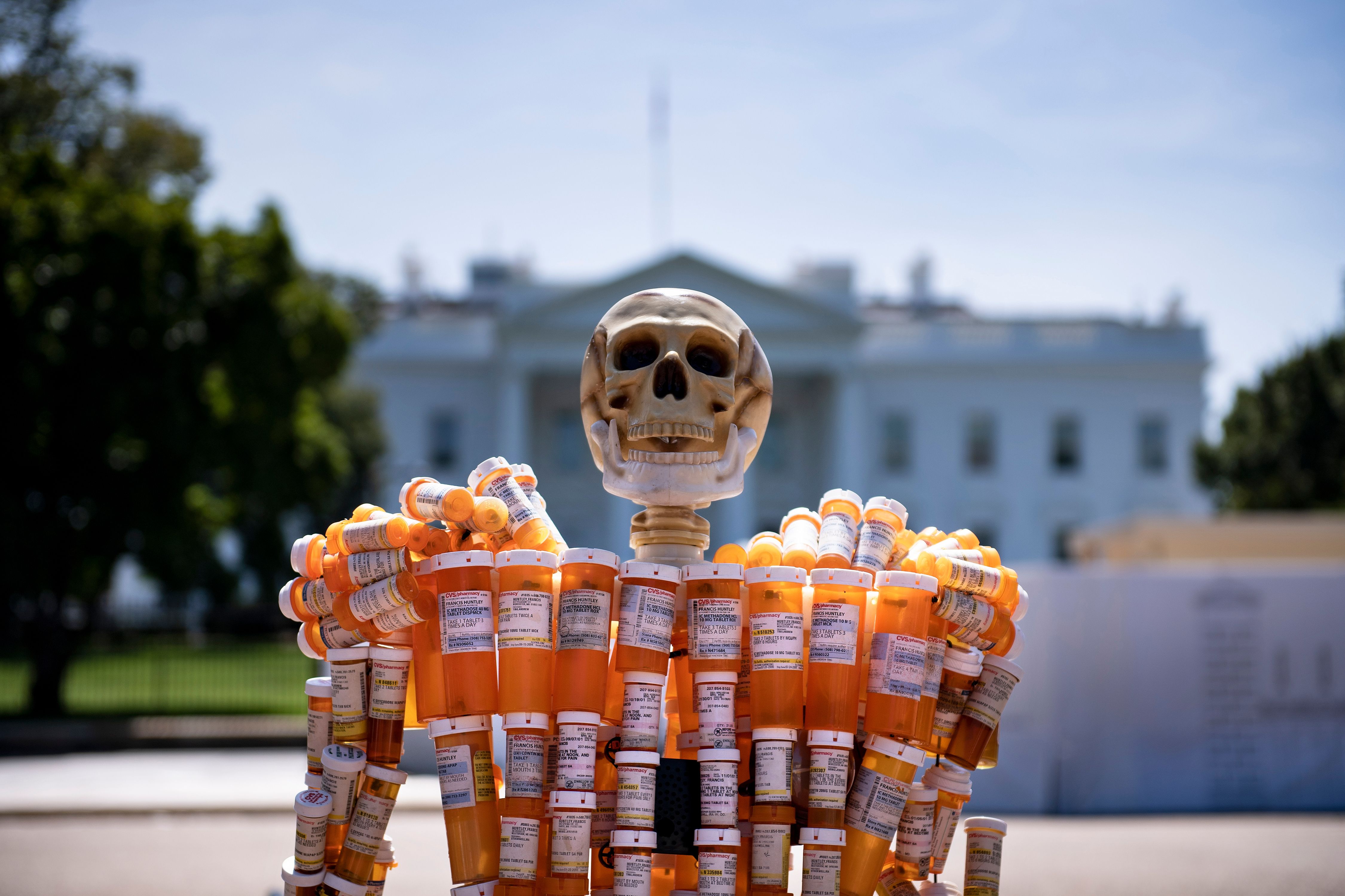 A skeleton made out of OxyContin bottles, displayed at a protest in front of the White House