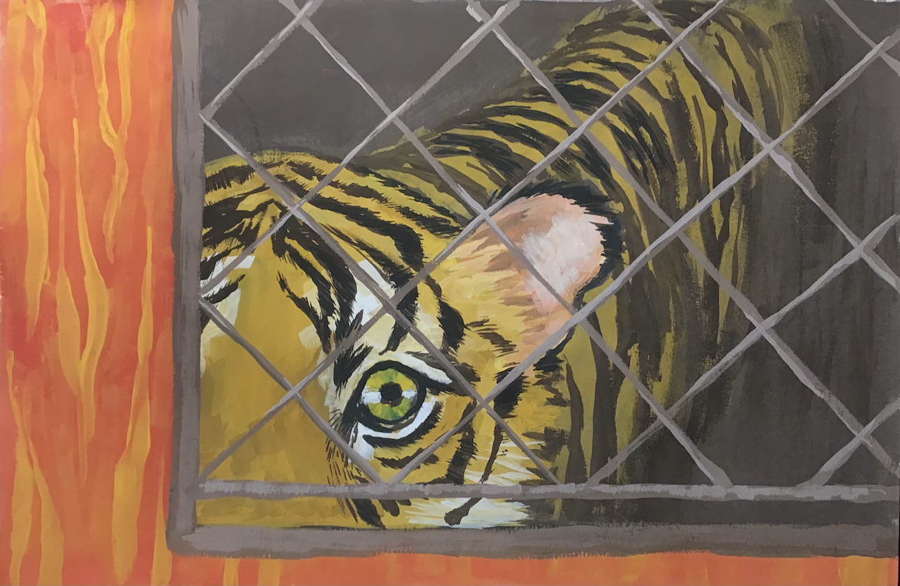 Illustration of tiger