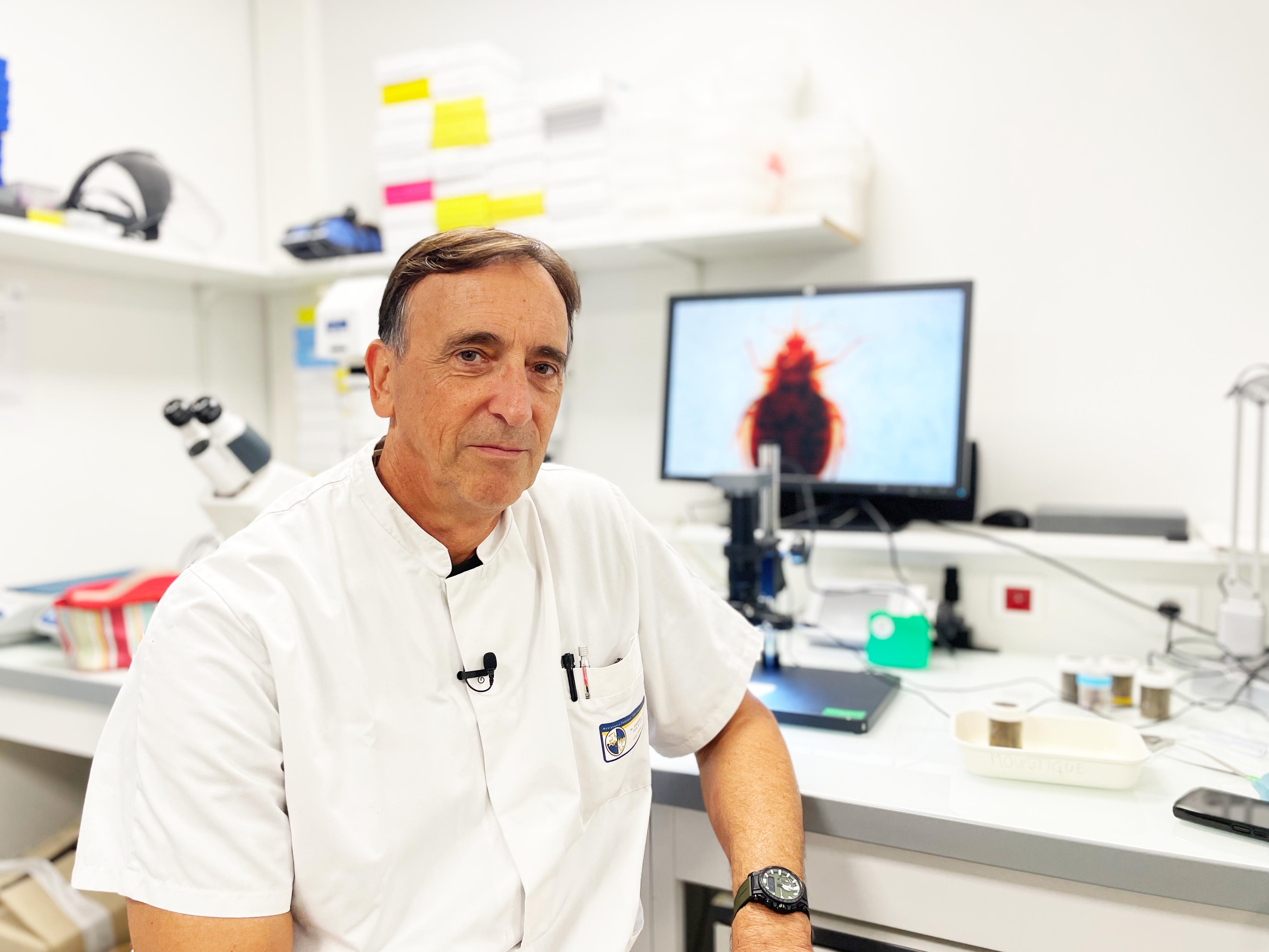 Every late summer we see a big increase in bedbugs... And each year, the seasonal increase is bigger than the last one
