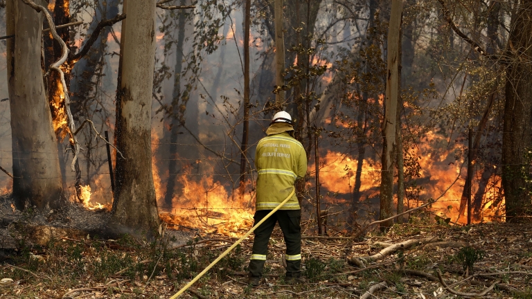 A fireman tackles a bushfire in Taree, New South Wales