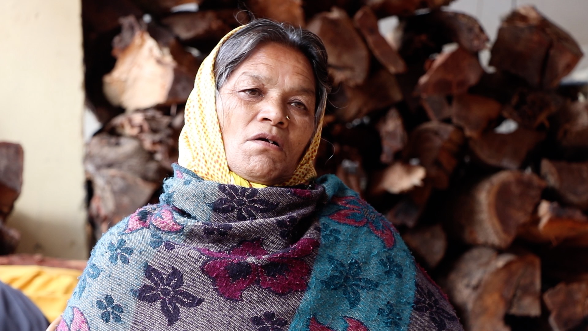 जोशीमठ पीड़ित