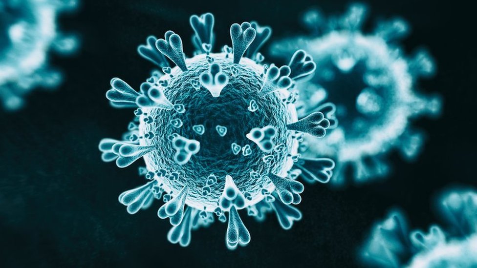 Coronavirus