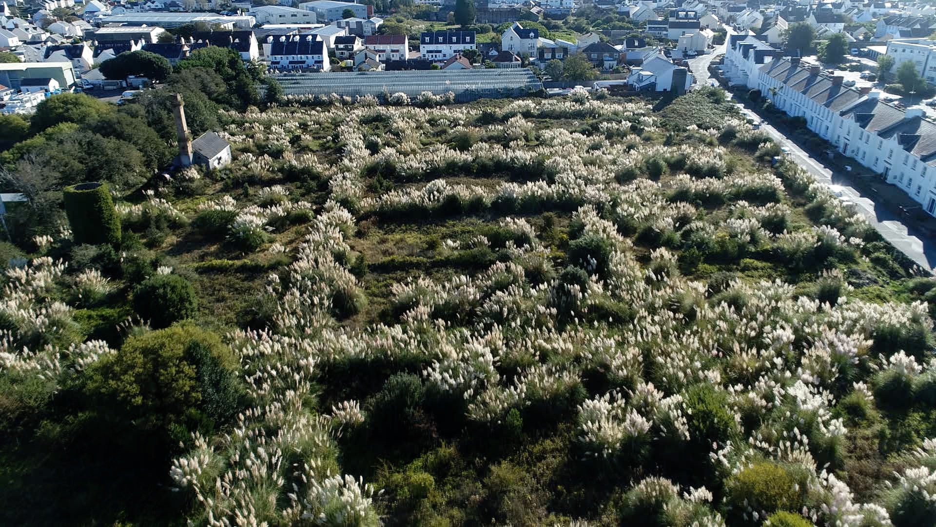 An aerial view of Kenilworth Vinery