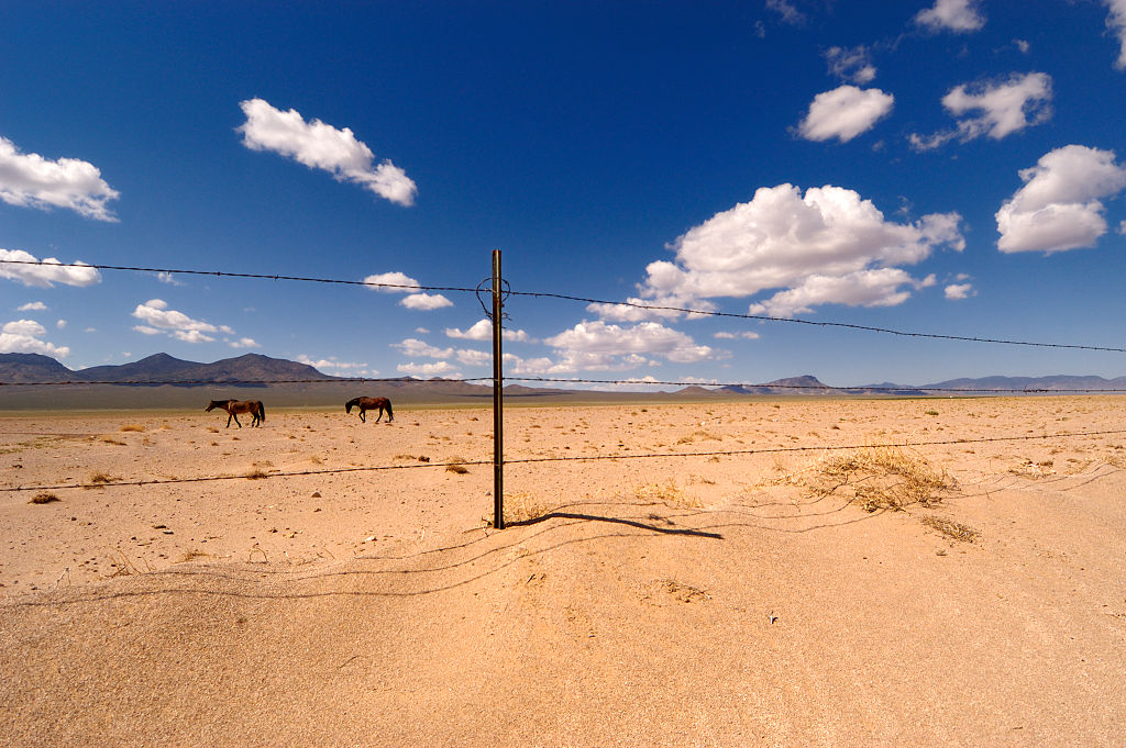 Two horses wander through a field on a farm in the desert near the United States military installation known as Area 51. 