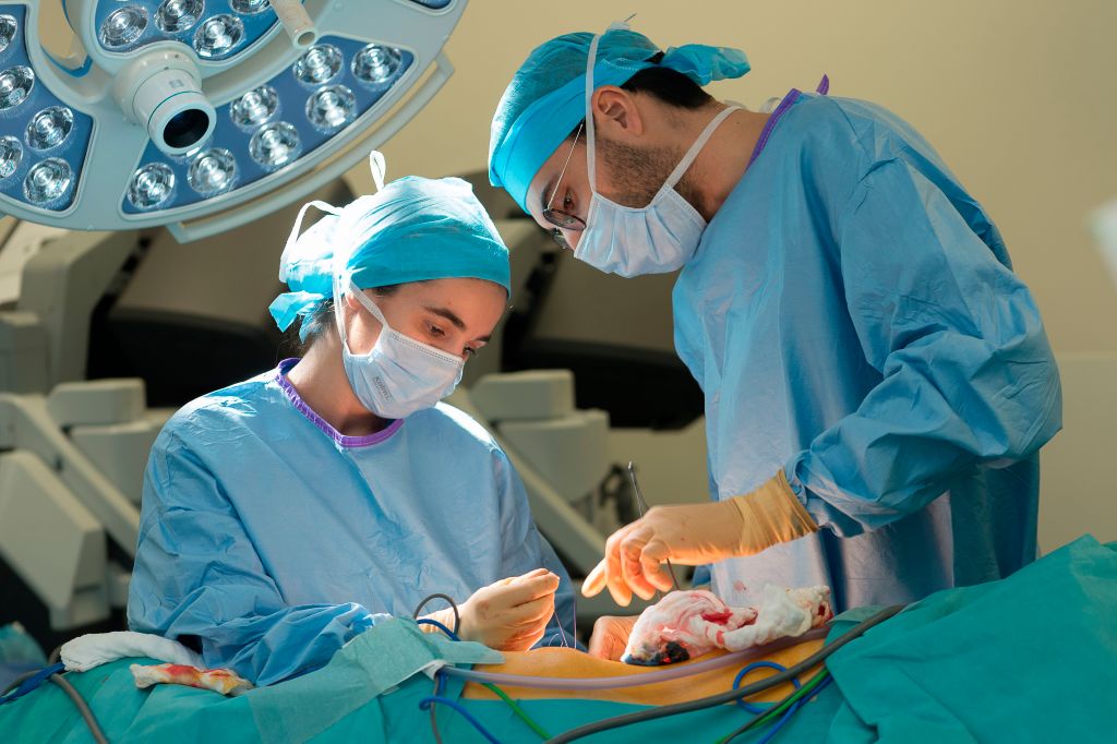 Two surgeons transplanting a kidney