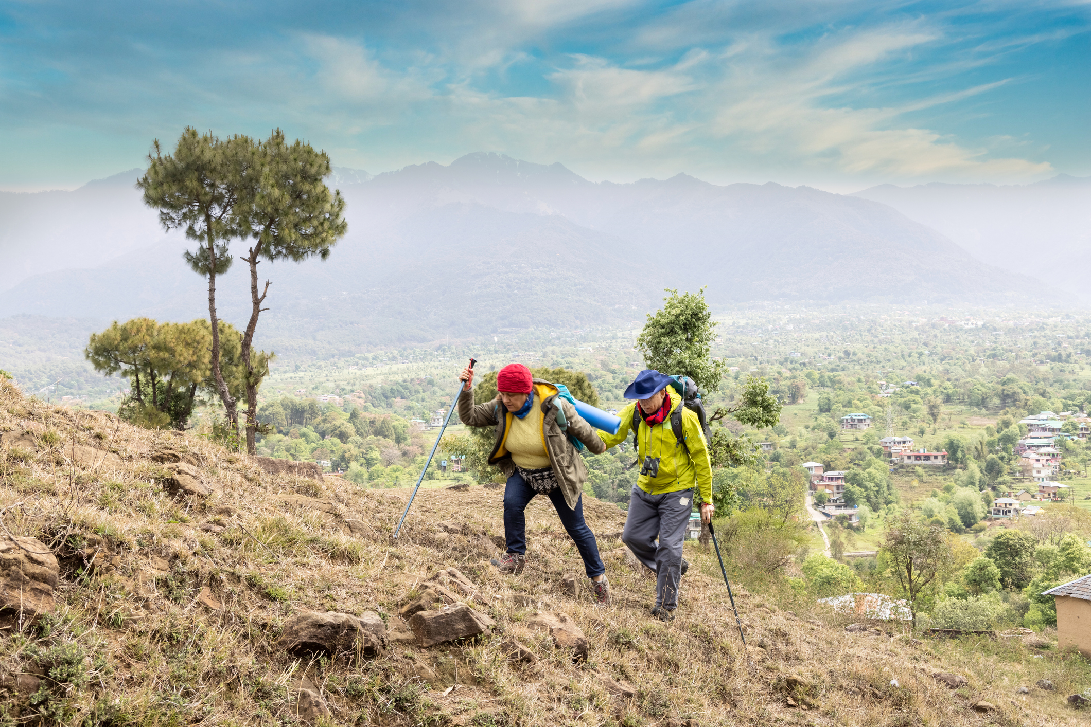 या प्रस्तावित मसुद्यानुसार दोन्ही जोडीदारांना (या कायद्यानुसार पुरुष आणि स्त्री) यांना आपल्या लिव्ह इन रिलेशनशिपची माहिती निबंधकाकडे द्यावी लागेल आणि तो त्याची 30 दिवसांमध्ये आढावा