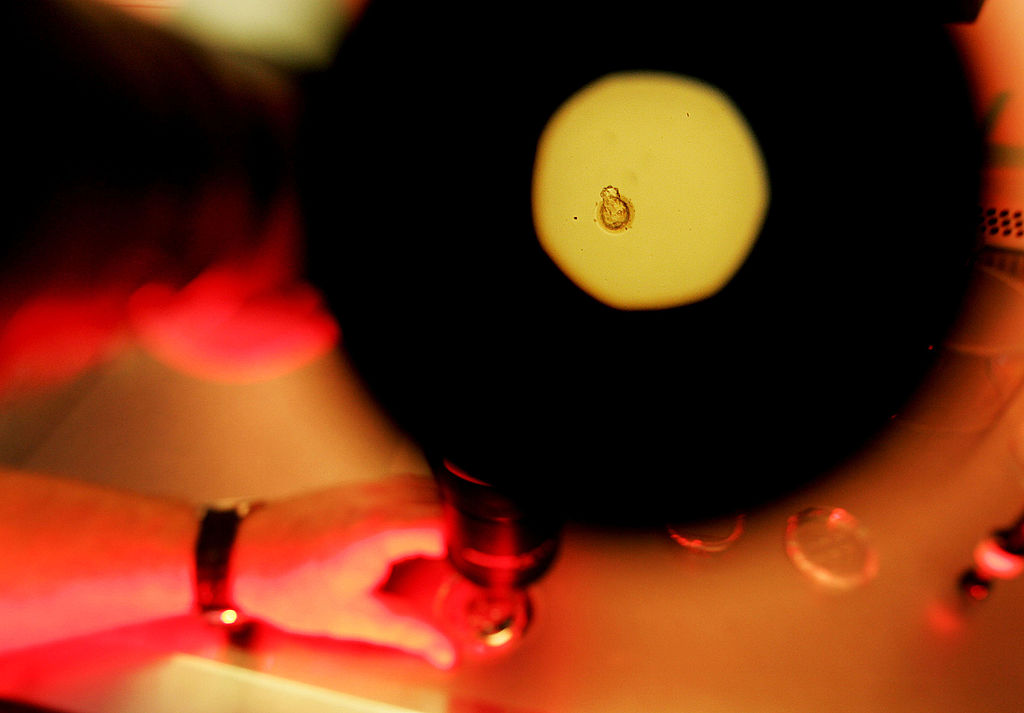 Modificación genética