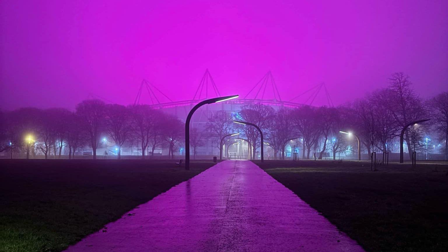 Hull City Pink Lights hull-city-pink-lights