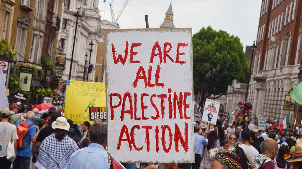 Met Police chief 'shocked' by planned Palestine Action protest in ...