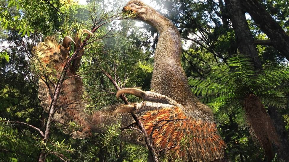 Two-clawed dinosaur species discovered in Gobi Desert