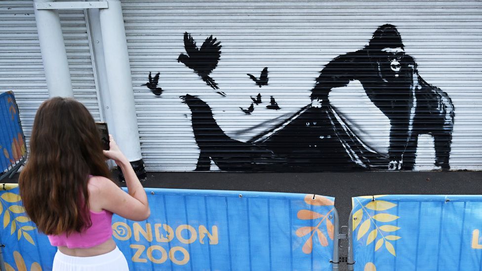 Banksy's final work in series appears on London Zoo gates