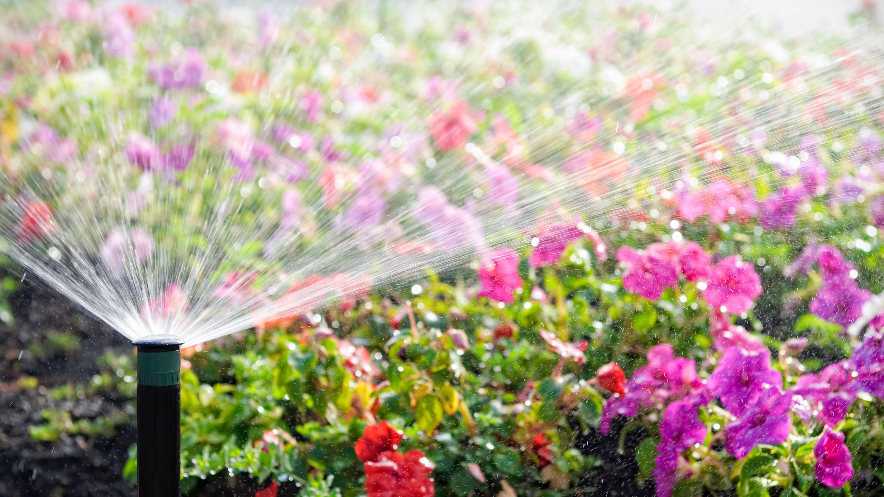 Concern for 'huge water demand' amid high temperatures