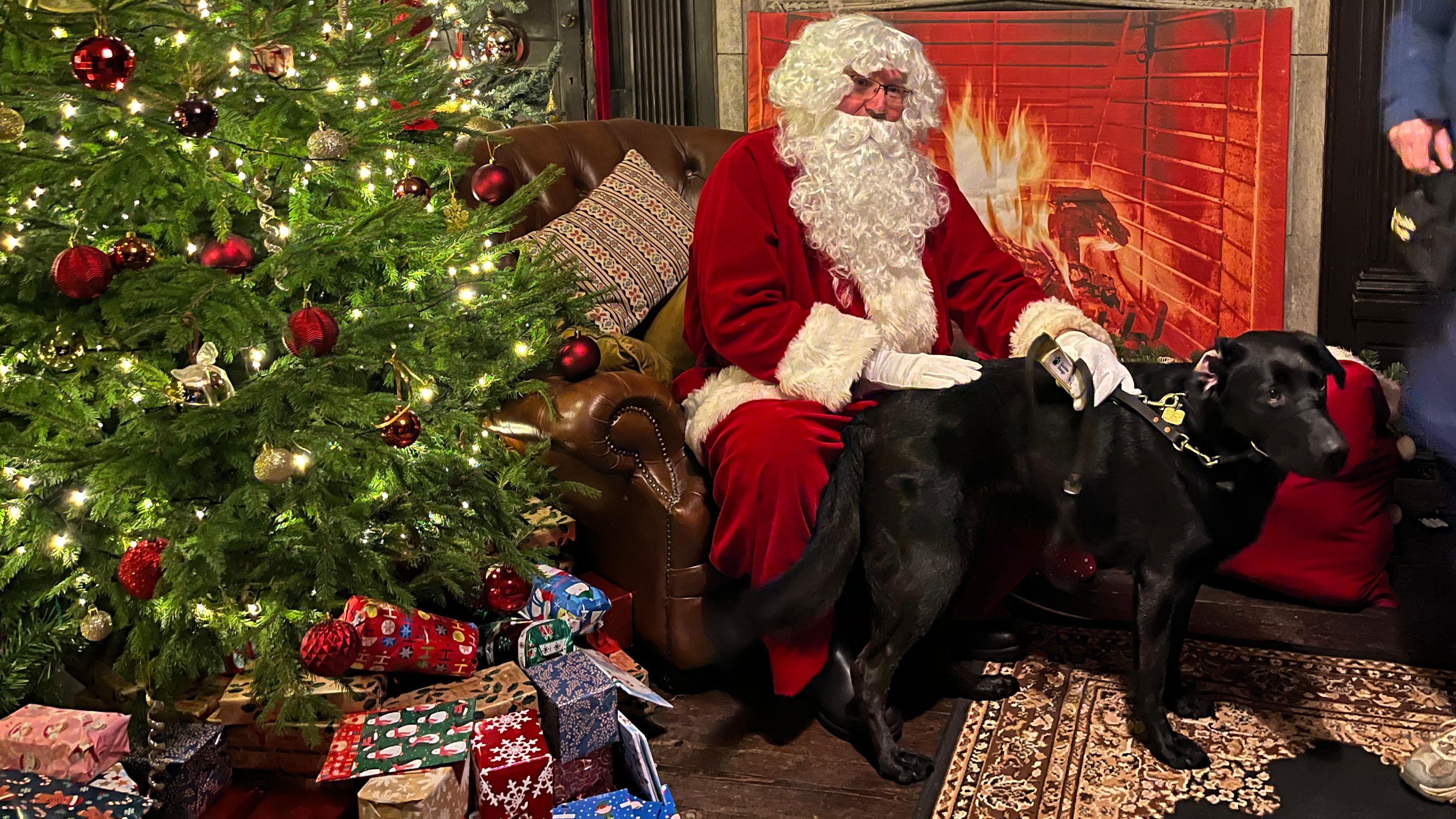 Santa helps guide dog puppies socialise at Delapré Abbey