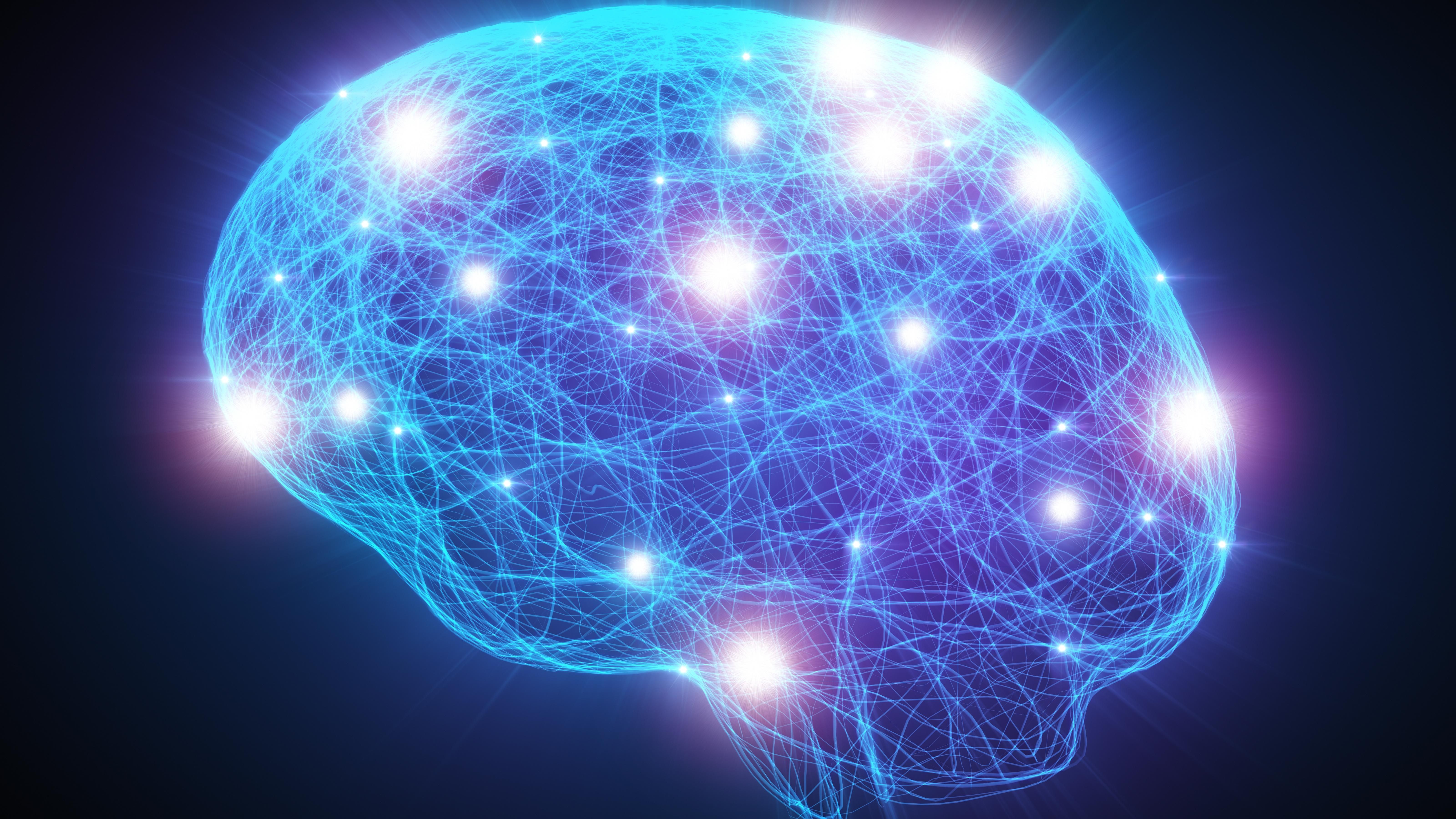 Concussions 'reactivate dormant virus in brain', study finds