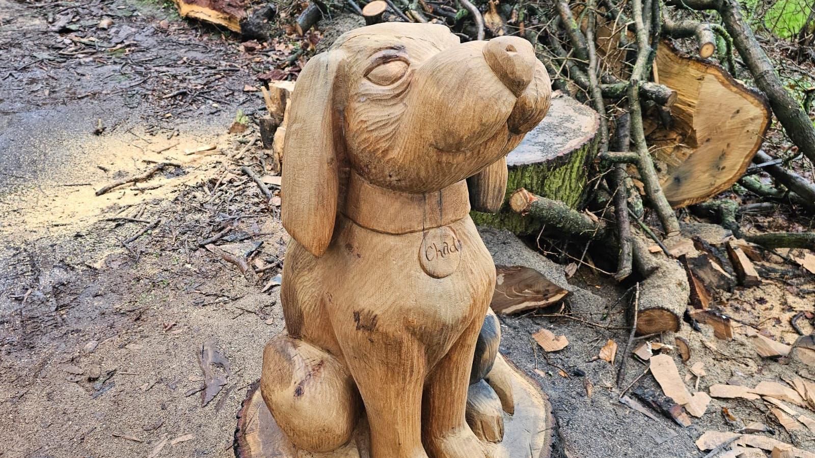 Chaddesden: Damaged tree turned into dog sculpture