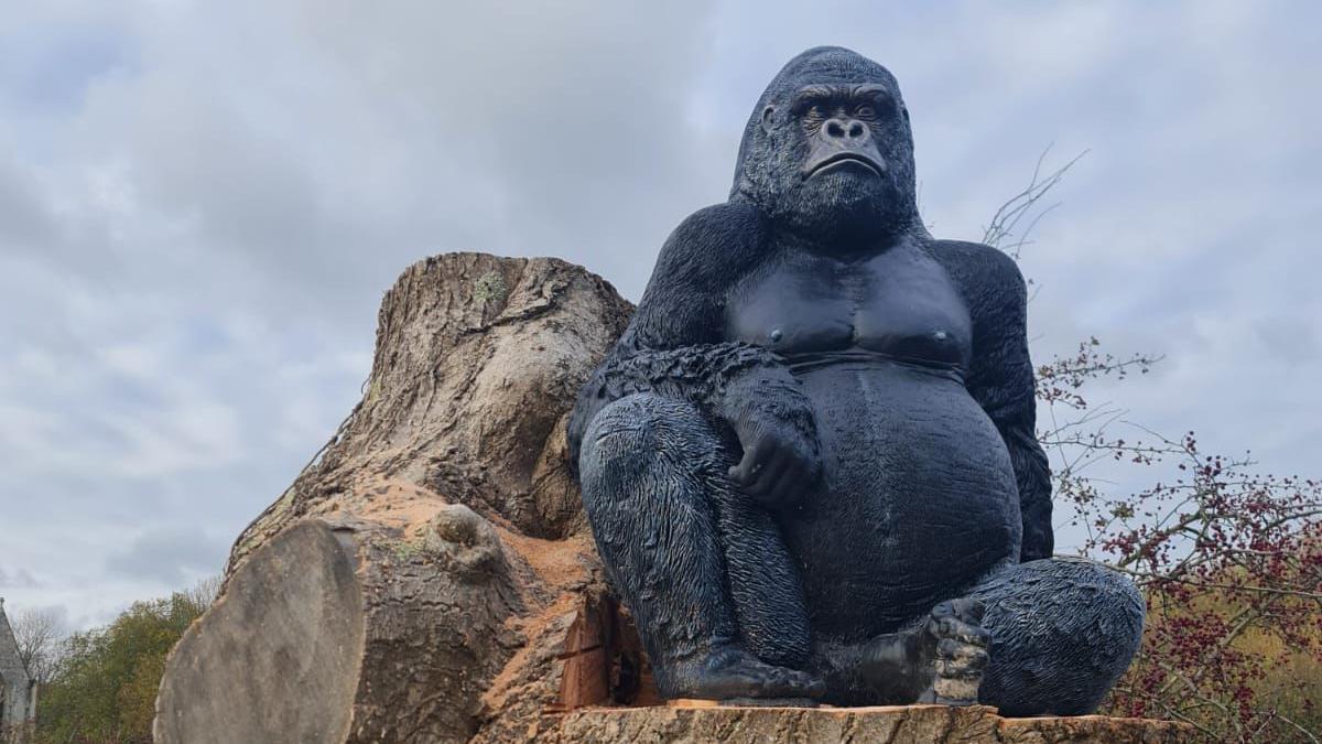 ウルフダウン　WDC70mh　GORILLA Gorilla statue appears by Kennet and Avon Canal in Great Bedwyn