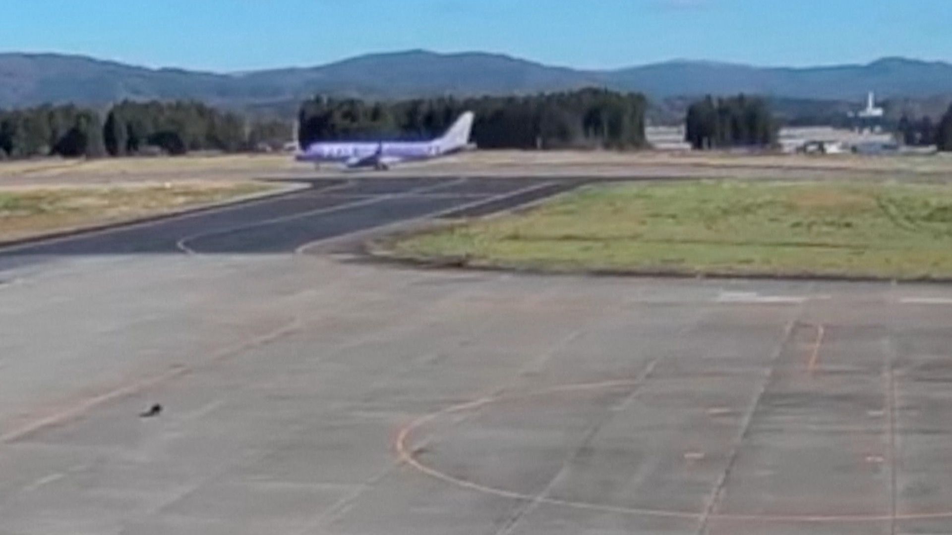 Bear airport tarmac incident