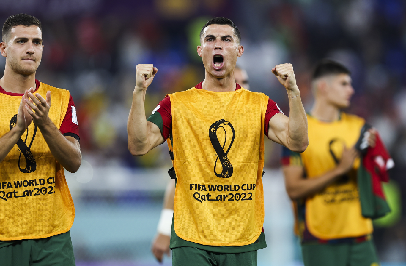 Portugal v Ghana LIVE: 2022 Fifa World Cup score, commentary & updates -  Live - BBC Sport