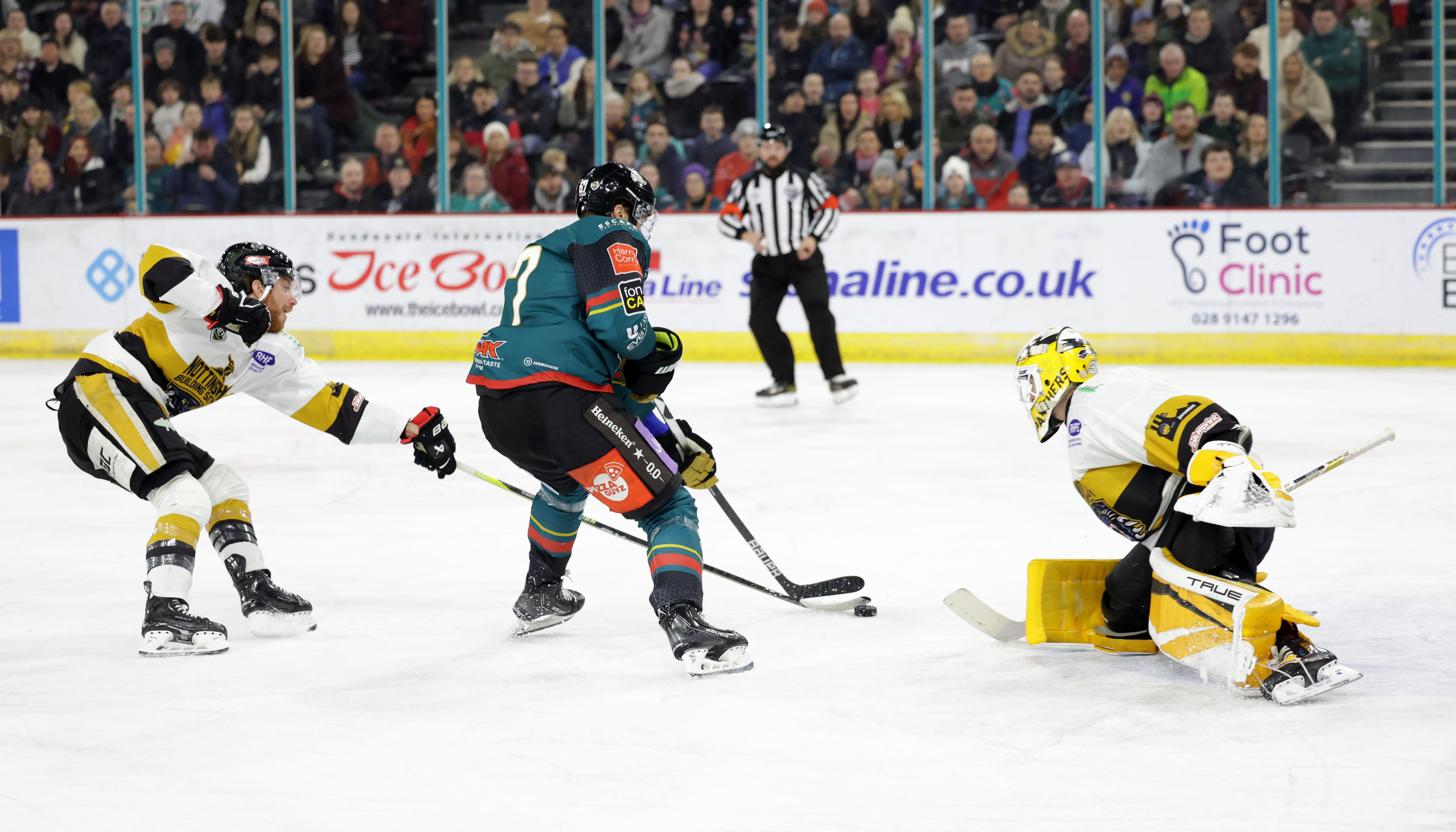 Nottingham Panthers vs Belfast Giants as it happened on Saturday night -  Belfast Live